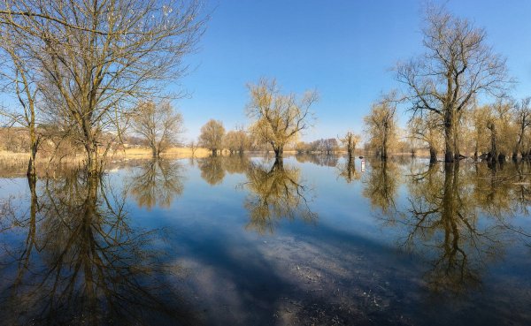 Половодье в апреле на лугах