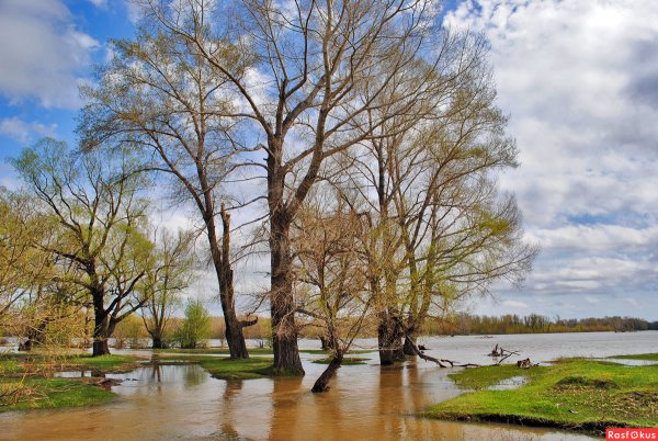 Половодье разлив реки весной