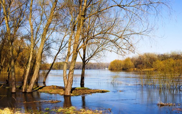 Весна разлив