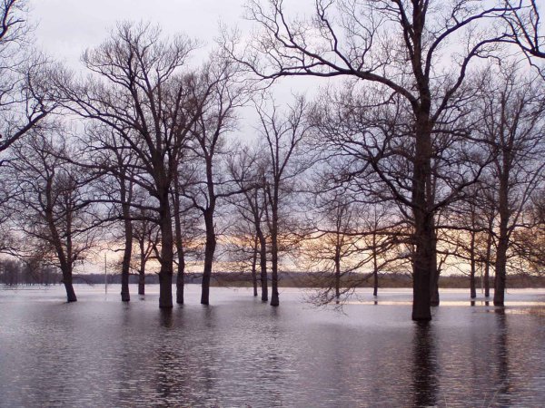 Весенний паводок