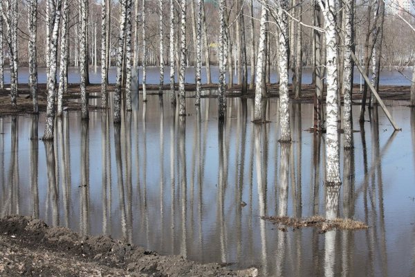 Весна половодье