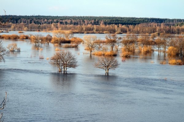 Весеннее половодье