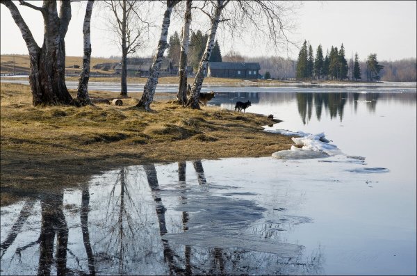 Половодье, разлив реки