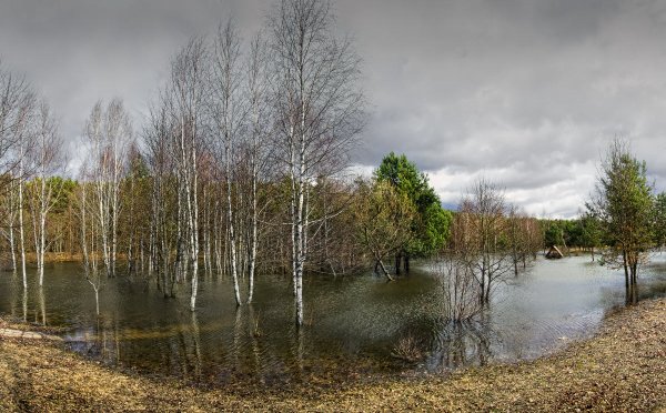 Весеннее половодье
