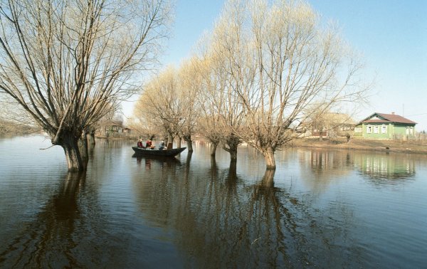 Антип Водогон