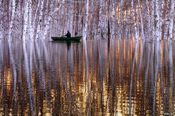 Весеннее половодье