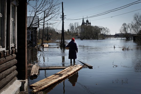 Художник Сергей Водолазкин картины