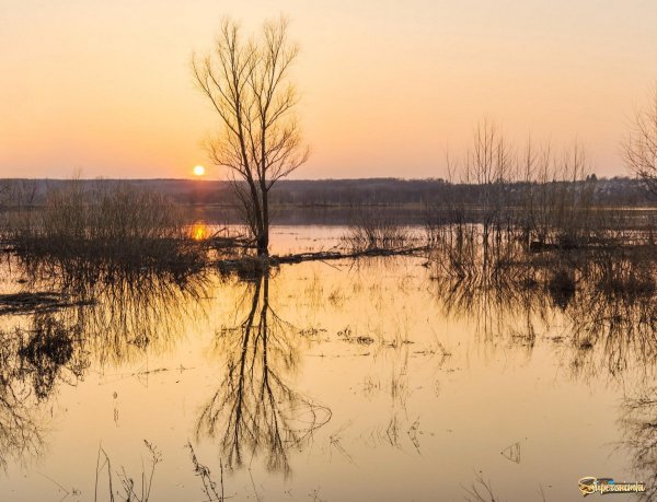 Весна, туман, половодье