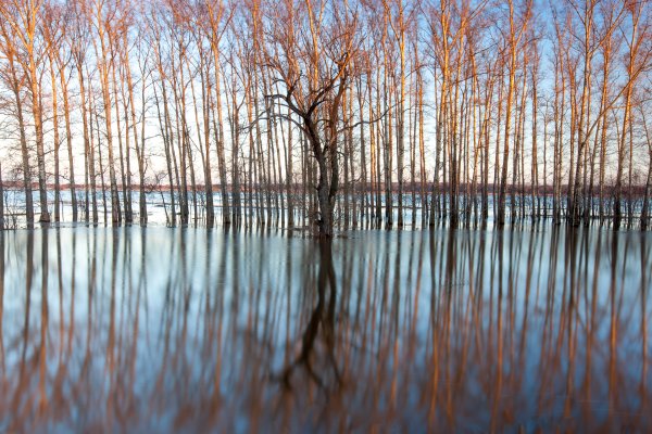 Шерна разлив