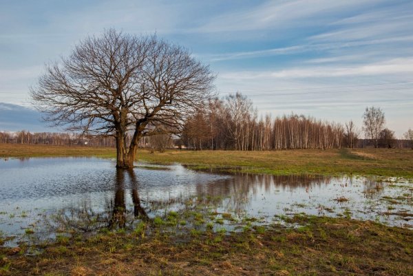 Половодье реки