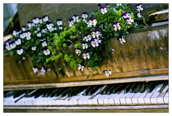 Пианино Весна