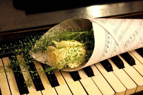 Букет для музыканта