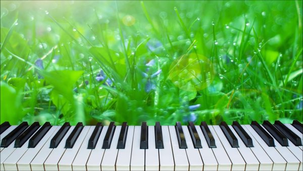 Ноты и природа