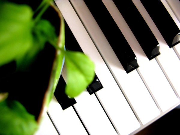 Весеннее пианино