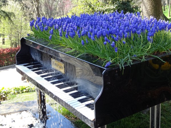 Рояль в саду