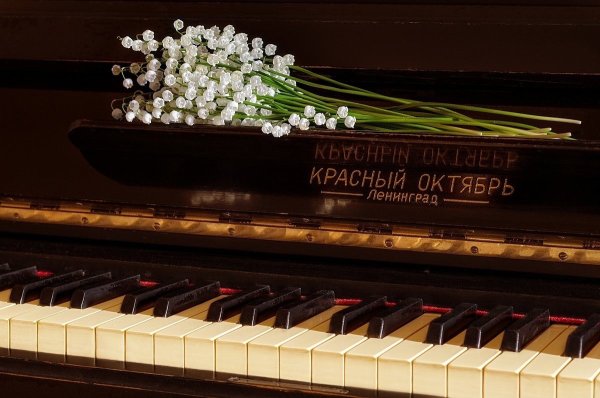 Цветы на пианино