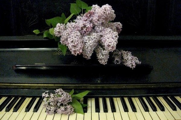 Сирень пианино Рахманинов