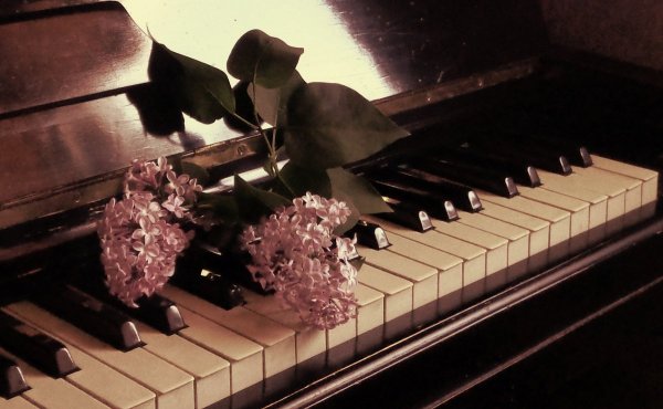 Фортепиано в цветах