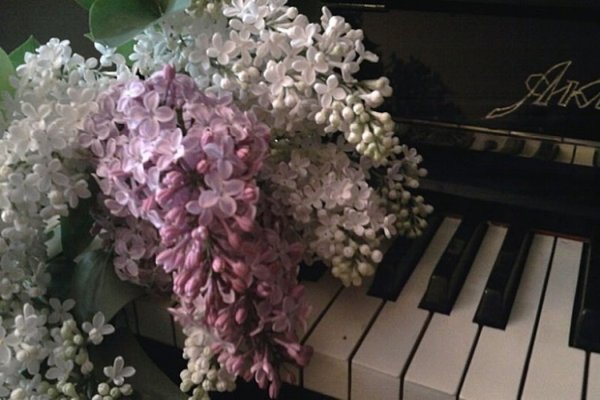 Белый рояль с цветами