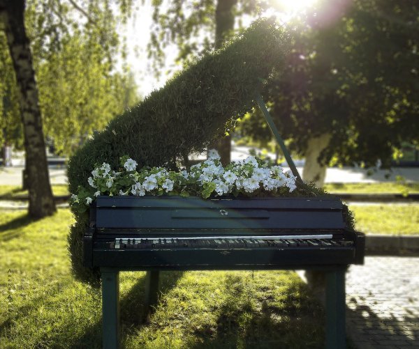 Фортепиано и ромашки