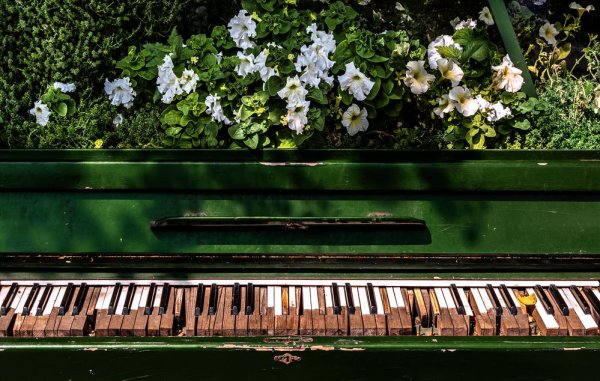 Фортепьяно и ромашки