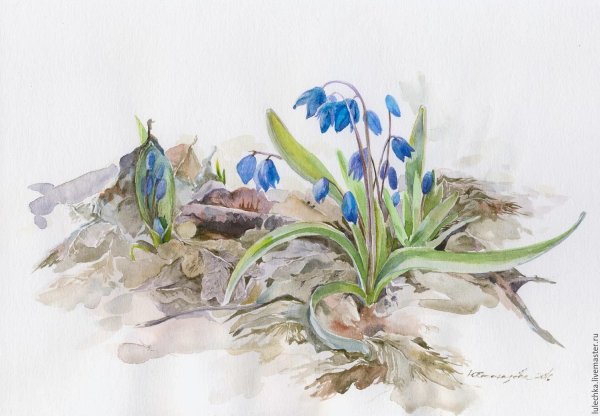 Пролески акварель