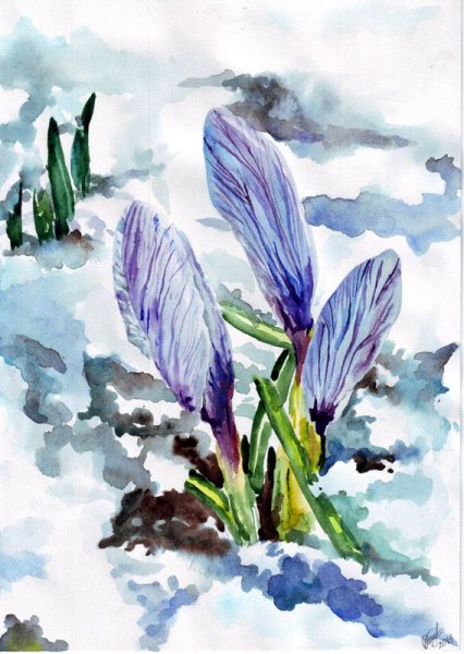 Стерхов. Весенняя акварель