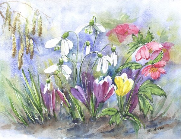 Подснежники Курбатов акварель