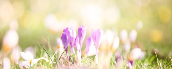 Спортивная семья