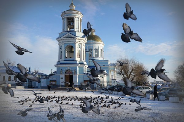 Покровский собор Воронеж зима