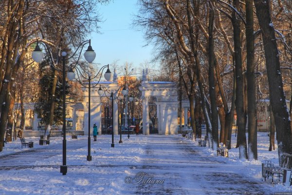 Клумбы города Воронежа