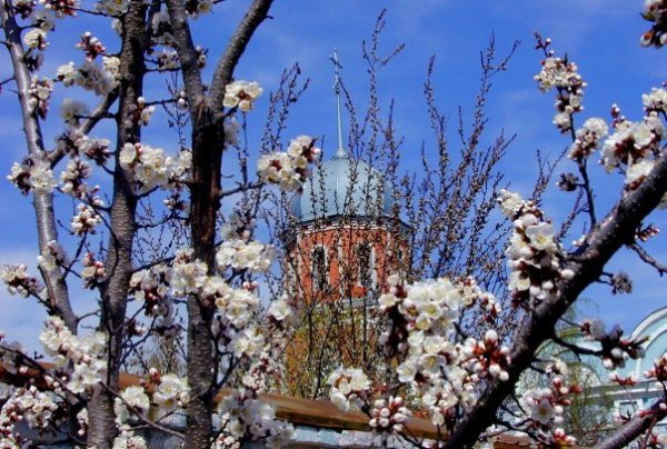 Воронеж весной