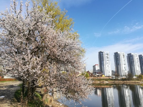Самара Весна набережная