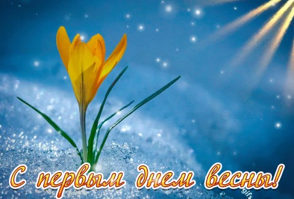 1 Марта первый день весны