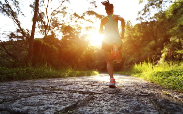 Групповые тренировки