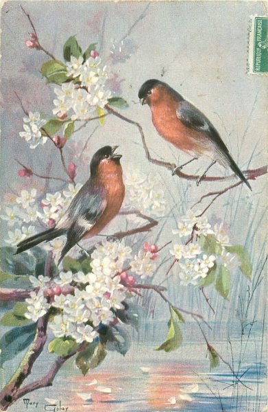 Девочка с незабудками