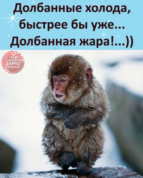 Долбанные холода