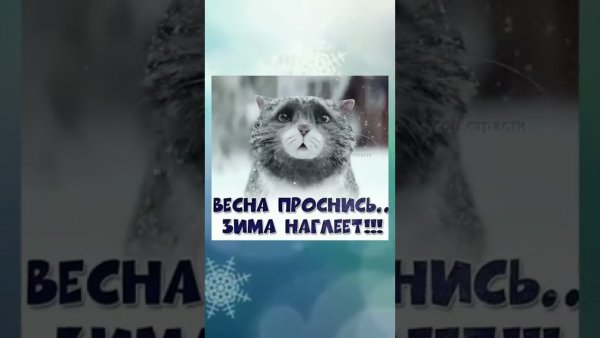 Весна Проснись зима наглеет