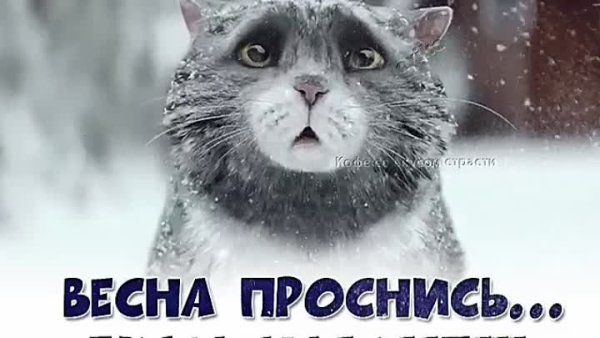Просыпайся Весна,зима наглеет