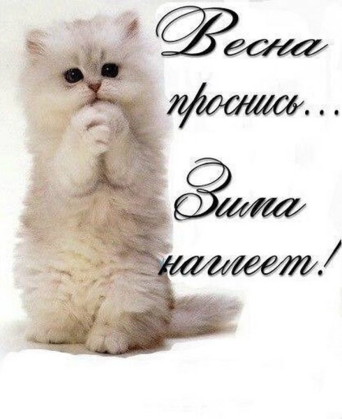 У нас Весна пришла