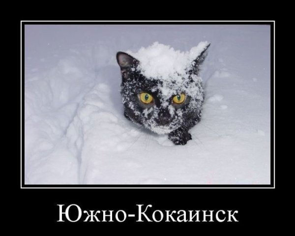 Приколы про зиму и весну