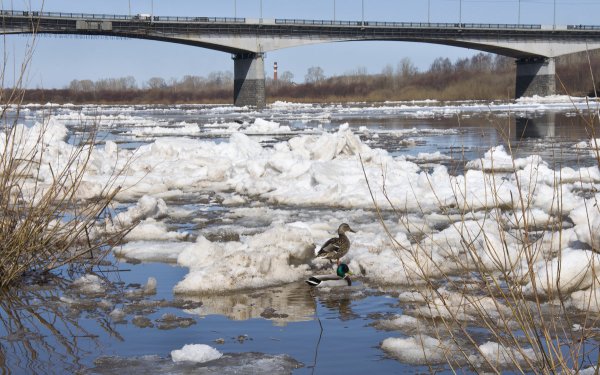 Река Вятка Кировской области Весна