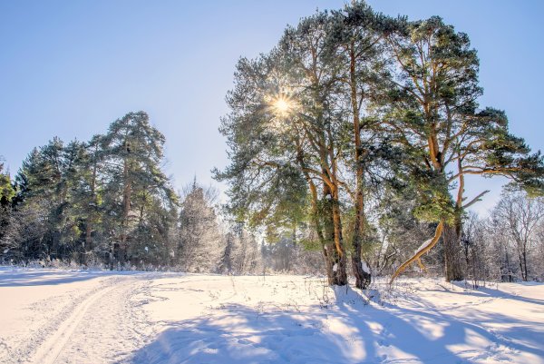 Заречный парк Киров