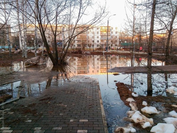 Лужи весной