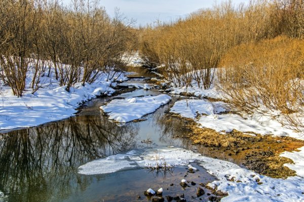 Картинки Весна в Кирове