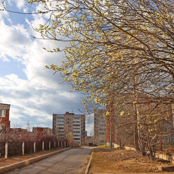 Город Киров панорама