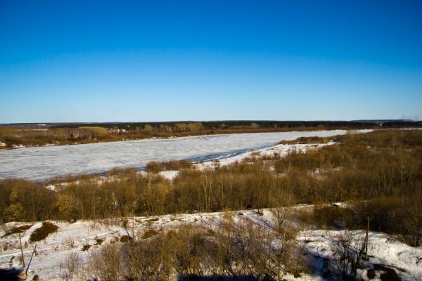 Бобрятник фото весной