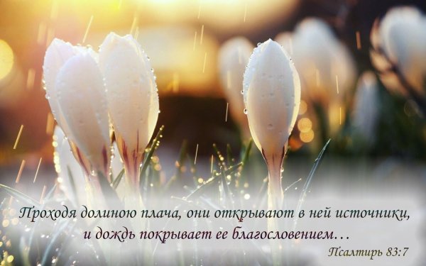 Христианские благословения