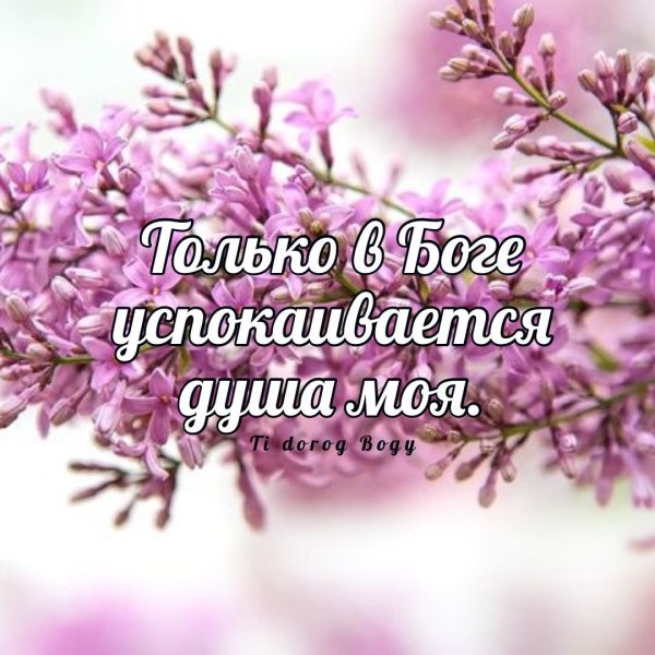 Благословенного дня православные