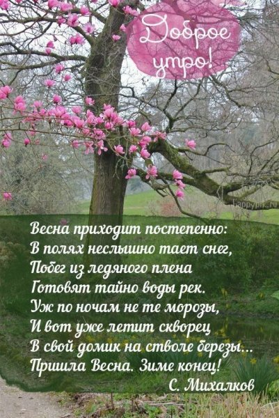 Цитаты про весну